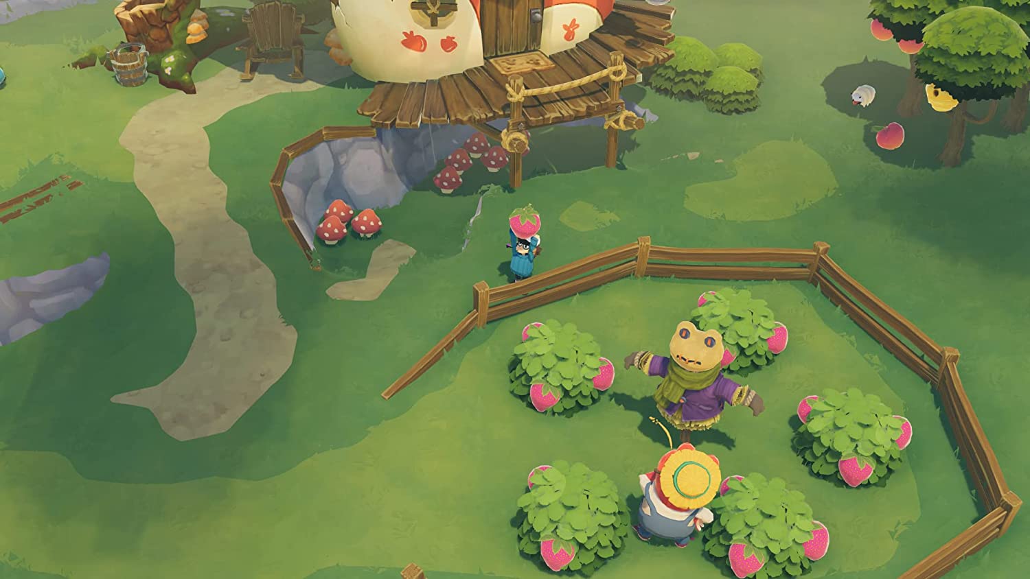 Time on Frog Island (PS4