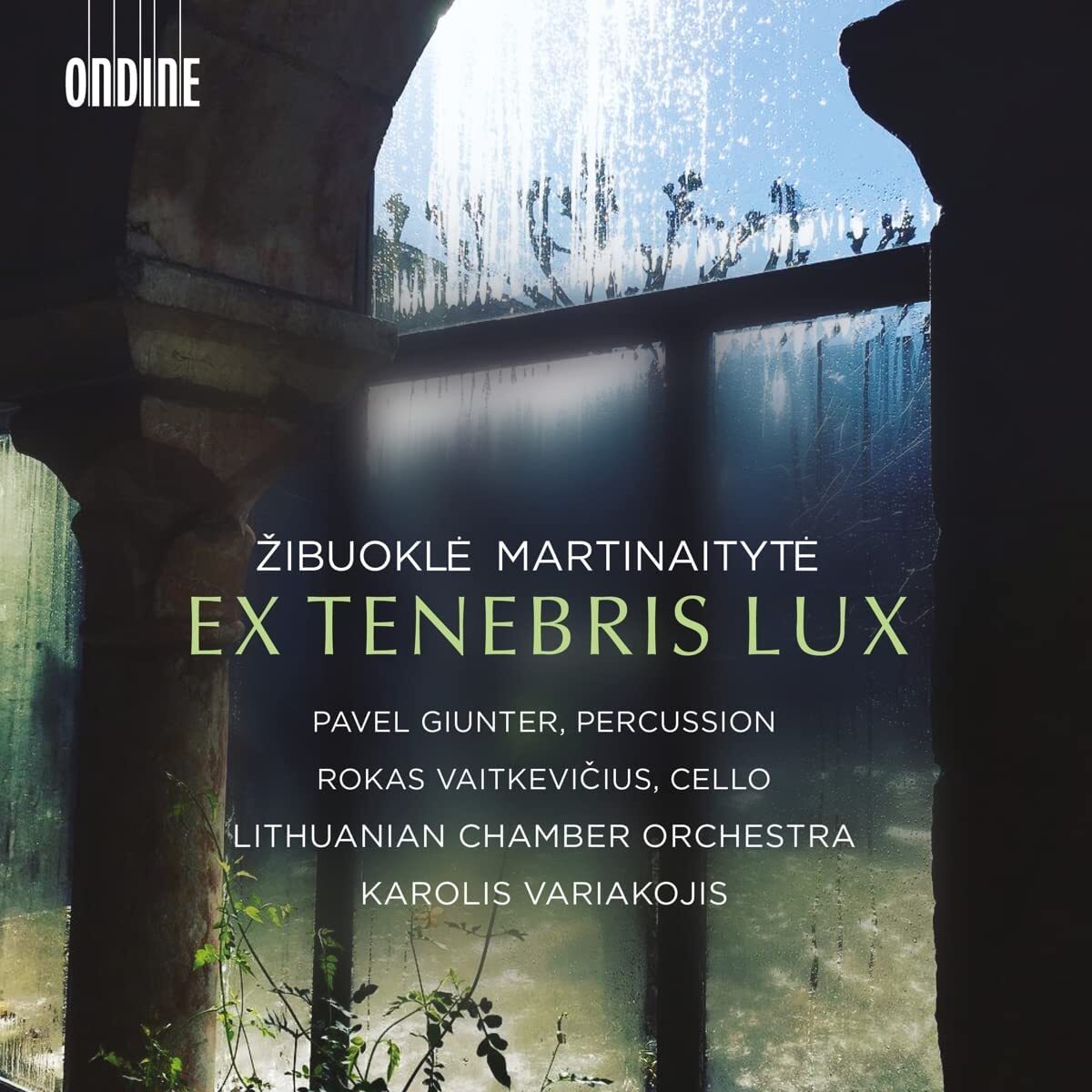 Zibuokle Martinaityte: Ex Tenebris Lux