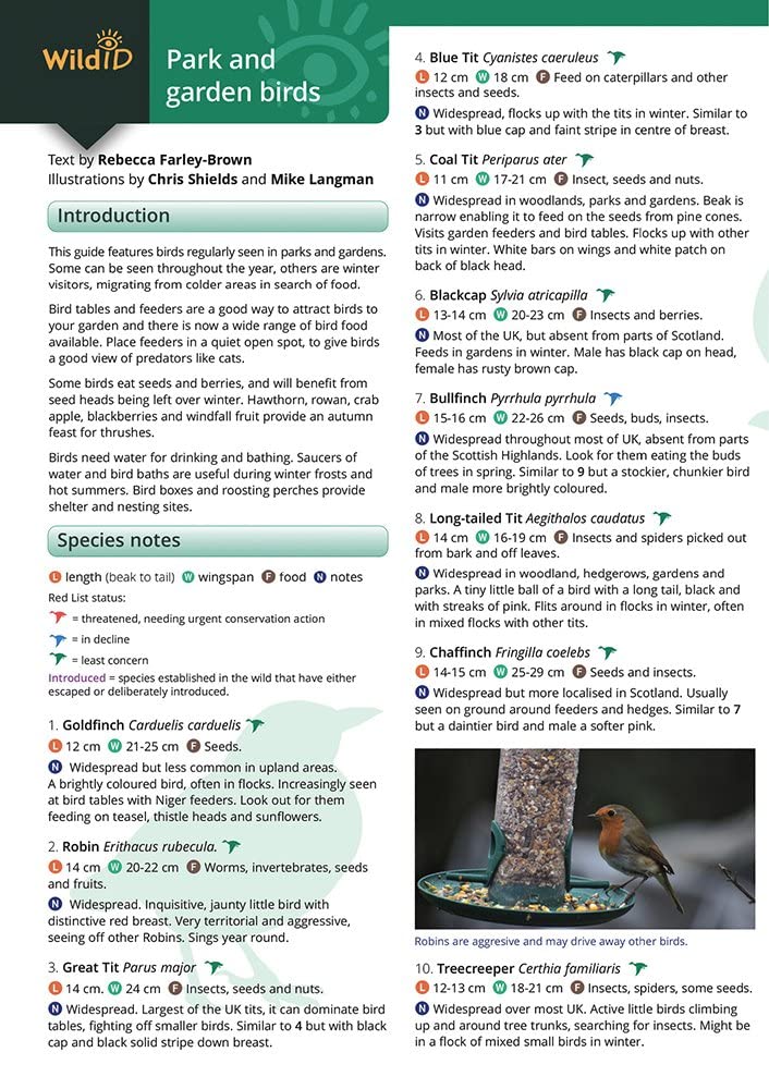 Park and garden birds