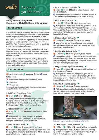 Park and garden birds
