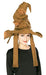 HARRY POTTER SORTING HAT