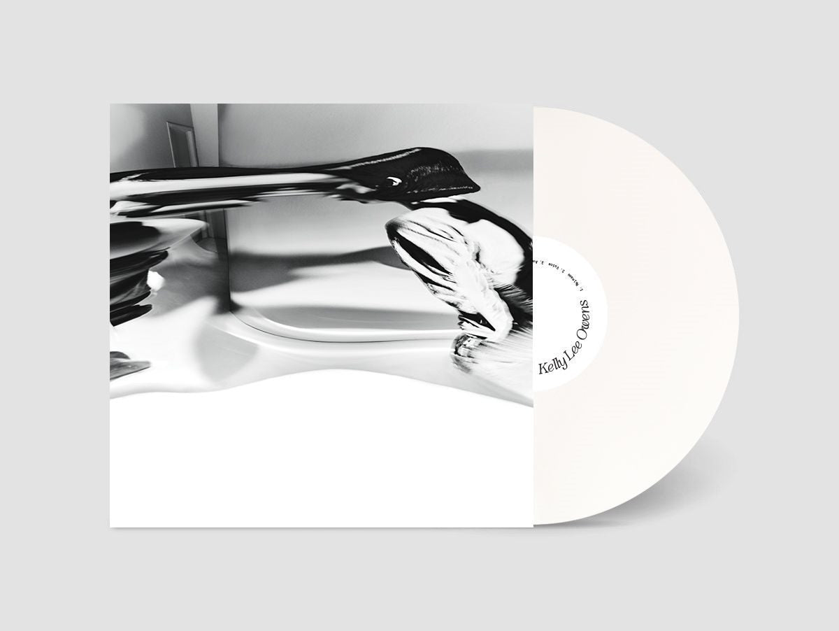 LP. 8