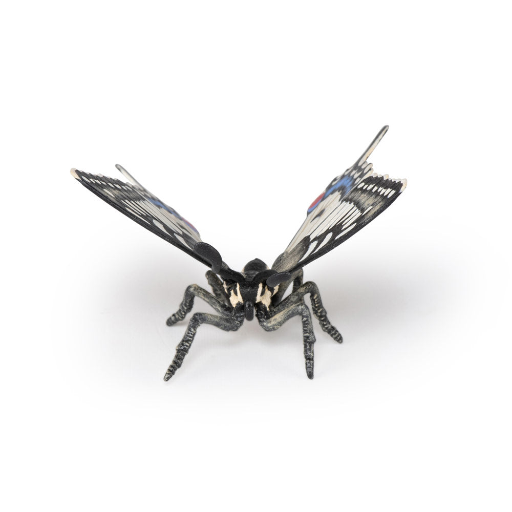 PAPO Wild Animal Kingdom Swallowtail Butterfly Toy Figure, Multi-colour (50278)