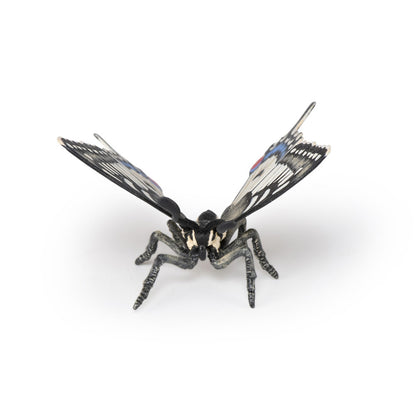 PAPO Wild Animal Kingdom Swallowtail Butterfly Toy Figure, Multi-colour (50278)
