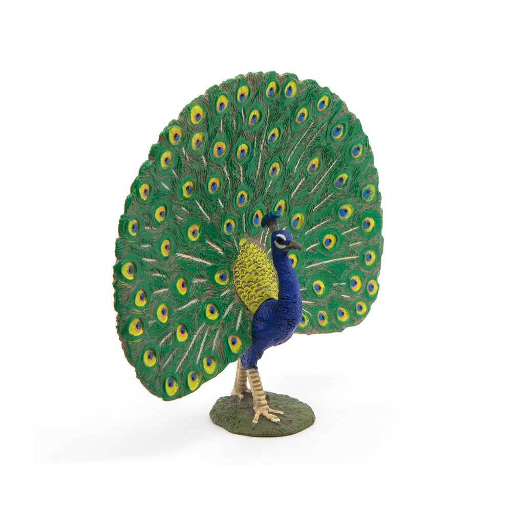 PAPO Farmyard Friends Peacock Toy Figure, Multi-colour (51161)