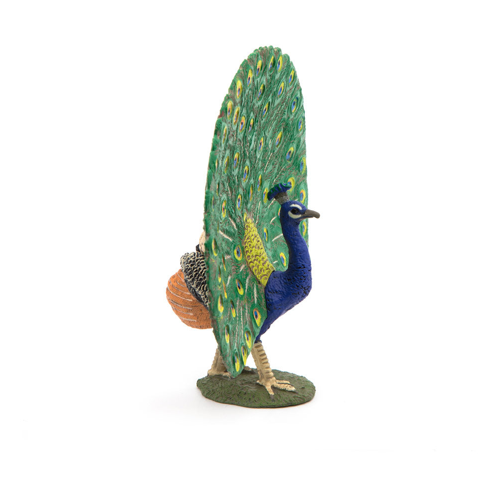 PAPO Farmyard Friends Peacock Toy Figure, Multi-colour (51161)