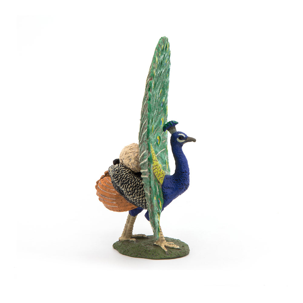 PAPO Farmyard Friends Peacock Toy Figure, Multi-colour (51161)