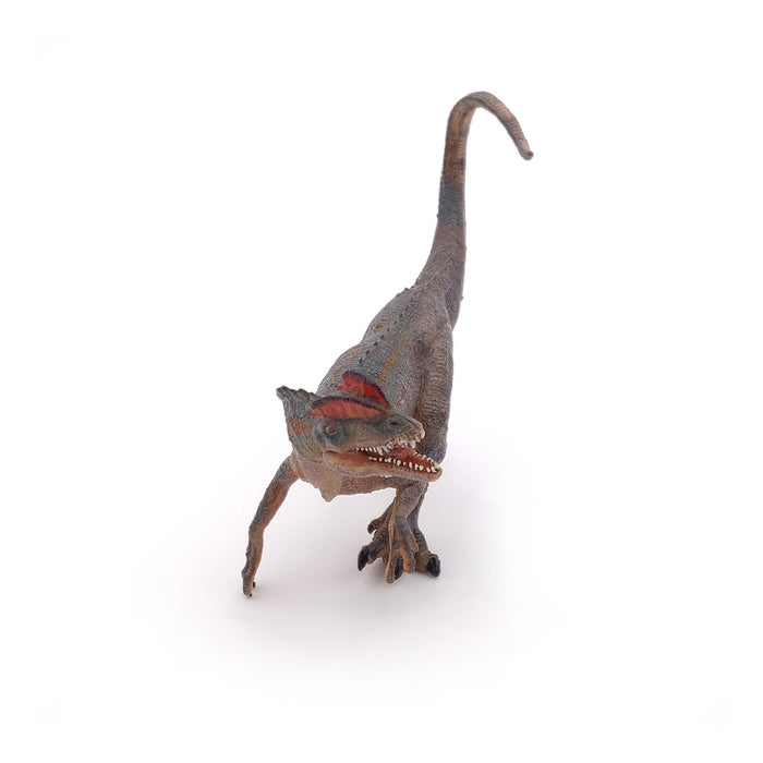 PAPO Dinosaurs Dilophosaurus Toy Figure, Multi-colour (55035)