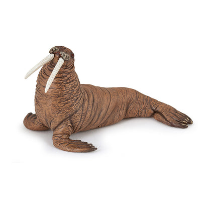 Papo MARINE LIFE Figurine, 56030 Walrus, Multicolour