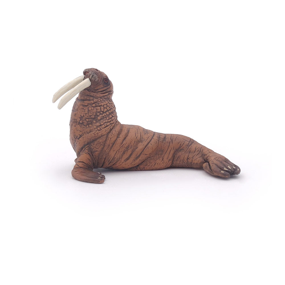 Papo MARINE LIFE Figurine, 56030 Walrus, Multicolour