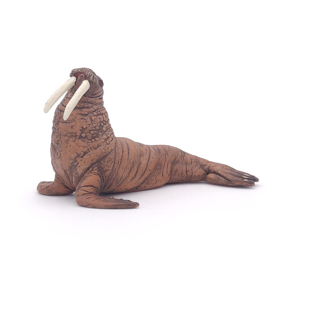 Papo MARINE LIFE Figurine, 56030 Walrus, Multicolour