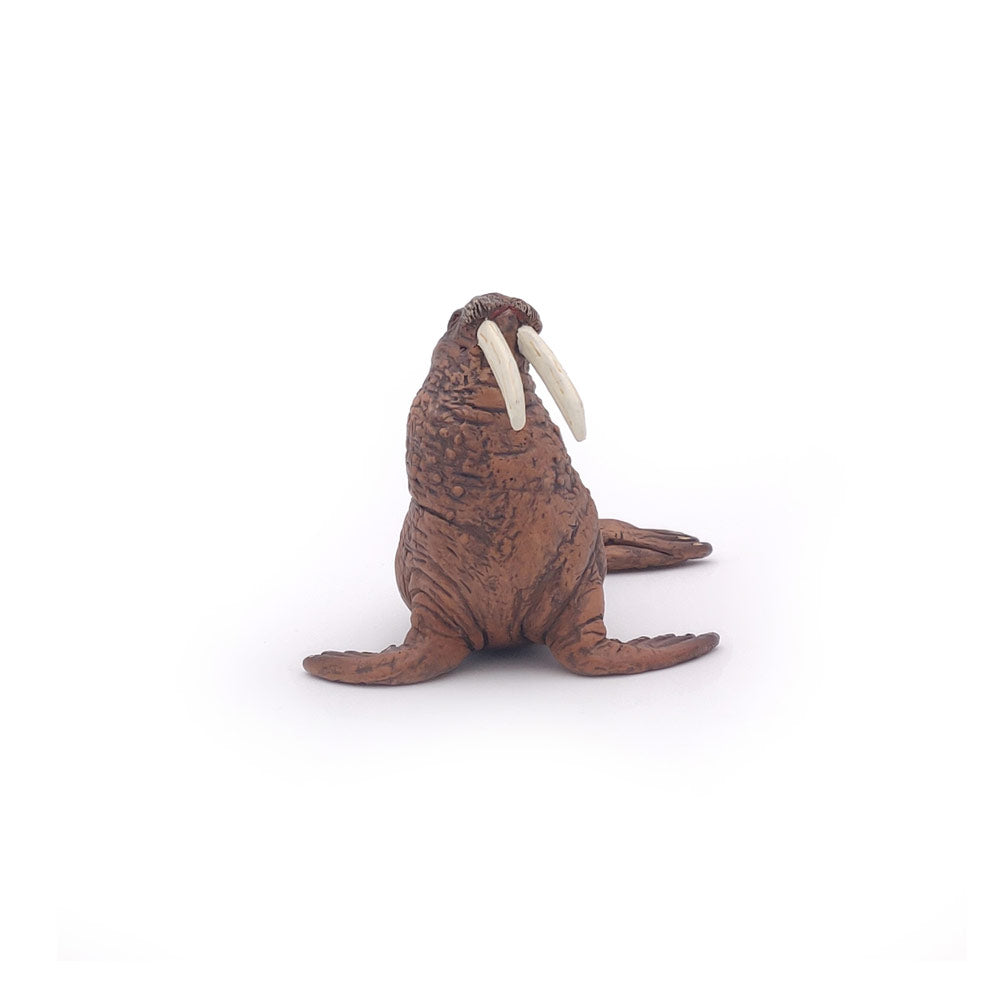 Papo MARINE LIFE Figurine, 56030 Walrus, Multicolour