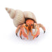 PAPO Marine Life Hermit Crab Toy Figure, Orange (56054)
