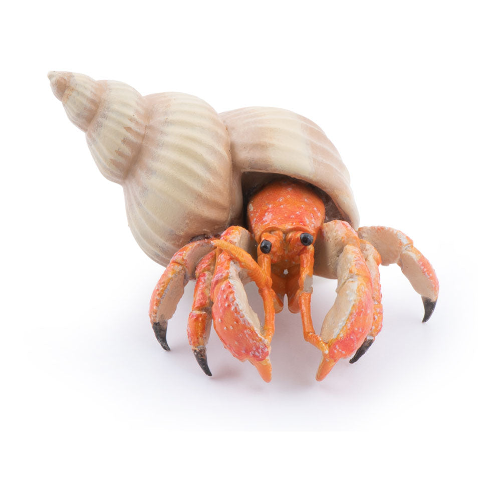 PAPO Marine Life Hermit Crab Toy Figure, Orange (56054)