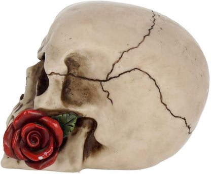Nemesis Now NEM3721 Rose From the Dead Figurine 13.5cm Ivory