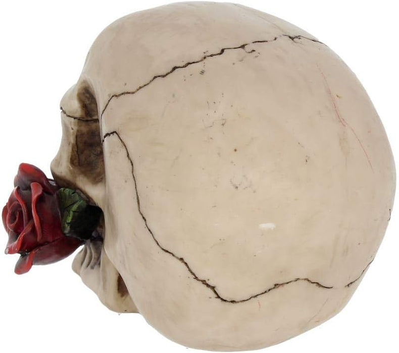 Nemesis Now NEM3721 Rose from The Dead - Figura Decorativa (13,5 cm), Color Marfil