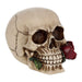 Nemesis Now NEM3721 Rose From the Dead Figurine 13.5cm Ivory