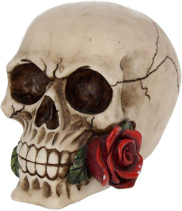 Nemesis Now NEM3721 Rose from The Dead - Figura Decorativa (13,5 cm), Color Marfil