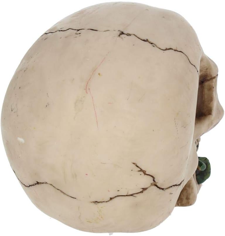 Nemesis Now NEM3721 Rose From the Dead Figurine 13.5cm Ivory