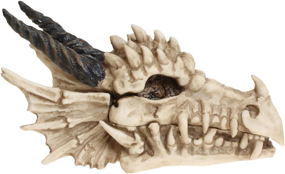 Nemesis Now Dragon Skull Box Unisex Artículos De Decoración Standard Poliresina