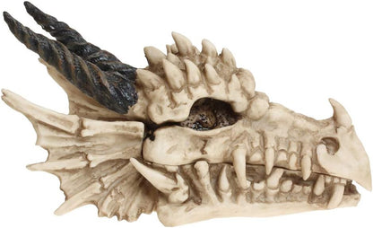 Nemesis Now Dragon Skull Box Unisex Artículos De Decoración Standard Poliresina