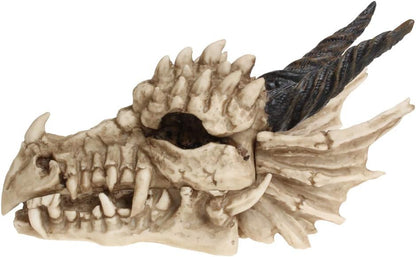 Nemesis Now Dragon Skull Box Unisex Artículos De Decoración Standard Poliresina