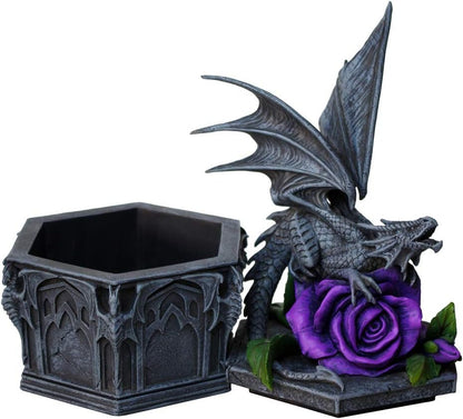 Nemesis Now Dragon Beauty Anne Stokes Box 25cm Black, Resin