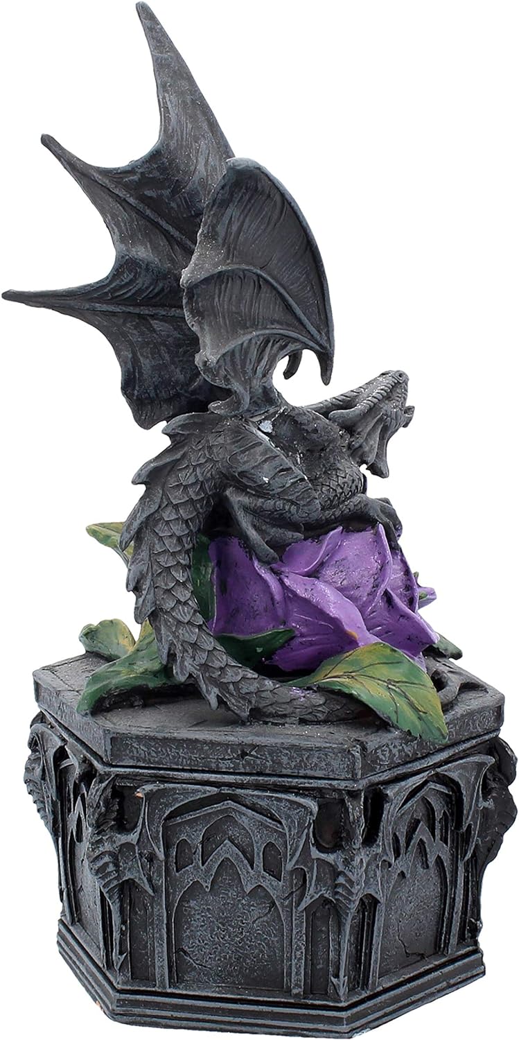 Nemesis Now Dragon Beauty Anne Stokes Box 25cm Black, Resin