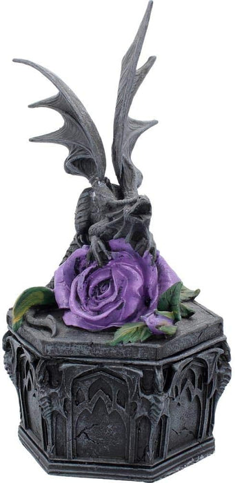 Nemesis Now Dragon Beauty Anne Stokes Box 25cm Black, Resin
