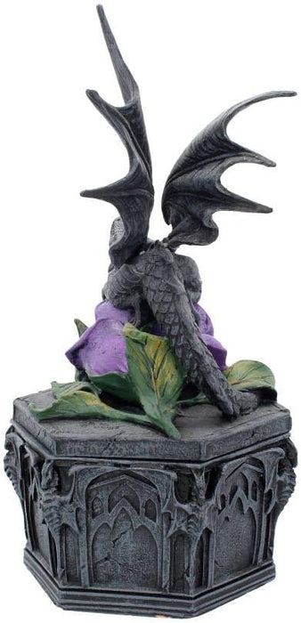 Nemesis Now Dragon Beauty Anne Stokes Box 25cm Black, Resin