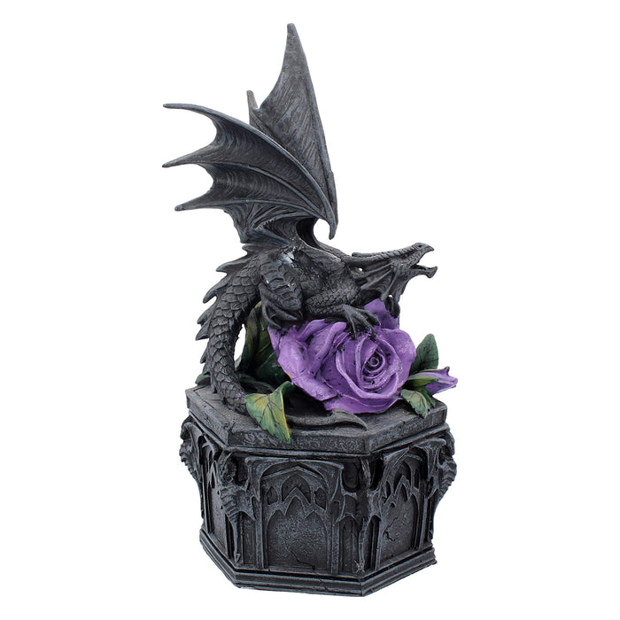 Nemesis Now Dragon Beauty Anne Stokes Box 25cm Black, Resin