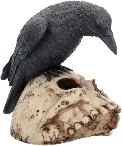 Raven Remains Figurine Crow Skull Gothic Ornament