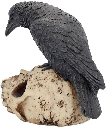 Raven Remains Figurine Crow Skull Gothic Ornament