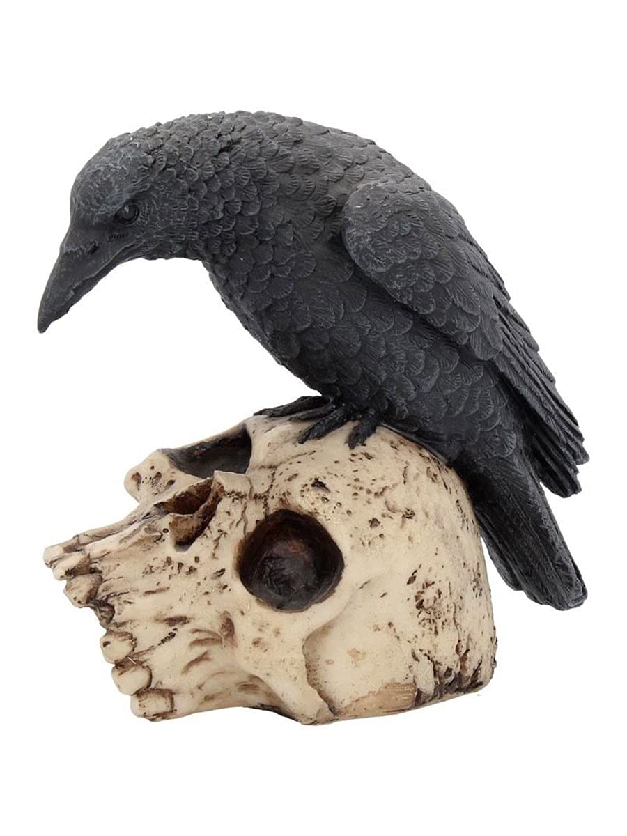 Raven Remains Figurine Crow Skull Gothic Ornament