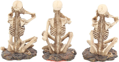 Nemesis Now AL50292 See No, Hear No, Speak No Skeletons Figurine , Ivory