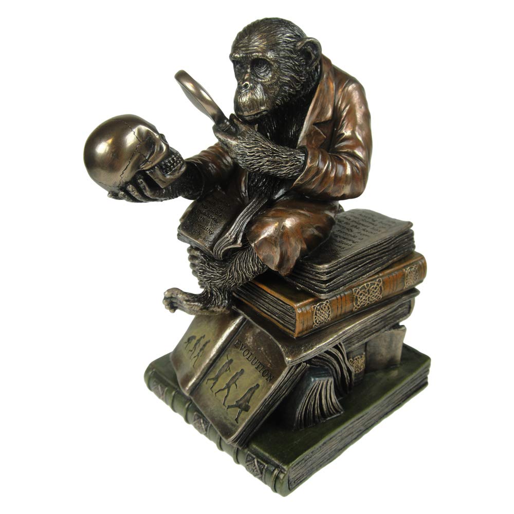 Nemesis Now Darwinism of Evolutionary Theory Box 17.5cm Bronze, Resin
