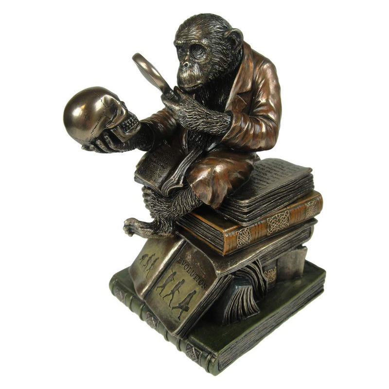 Nemesis Now Darwinism of Evolutionary Theory Box 17.5cm Bronze, Resin
