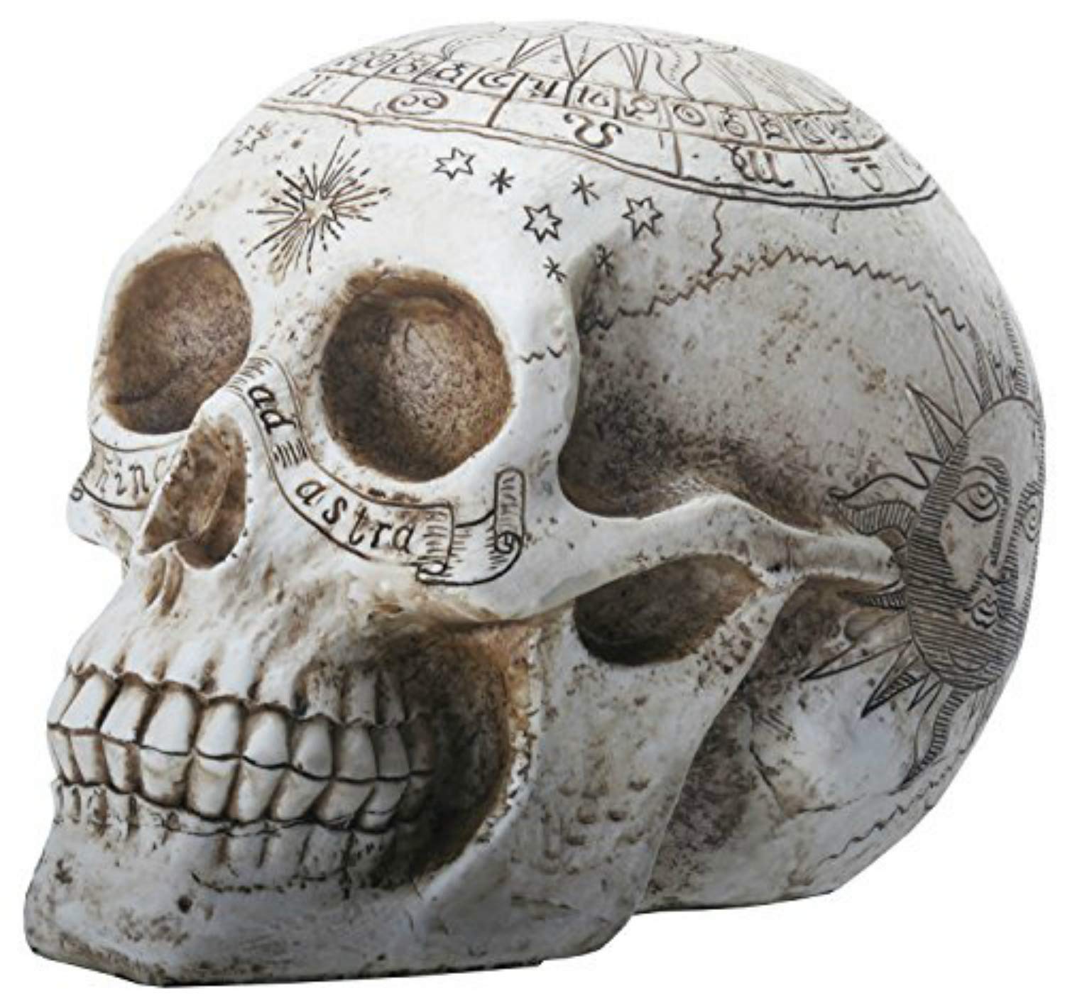 Nemesis Now Astrological Skull Figurine 29cm Ivory