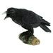 Nemesis Now Raven's Call 20cm