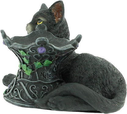 Nemesis Now Cosmo Figurine 13cm Black, Resin