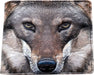 Nemesis Now Portrait of a Wolf Wallet 11cm Grey, PU, One Size