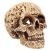 Nemesis Now U2465G6 Celtic Decadence 18.5cm, Resin, Ivory