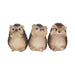 Nemesis Now Three Wise Hedgehogs Figurine 9cm Brown Single