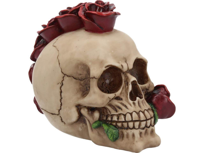 Nemesis Now U3527J7 Rosehawk - Figura Decorativa (Resina, 16 cm), Color Marfil