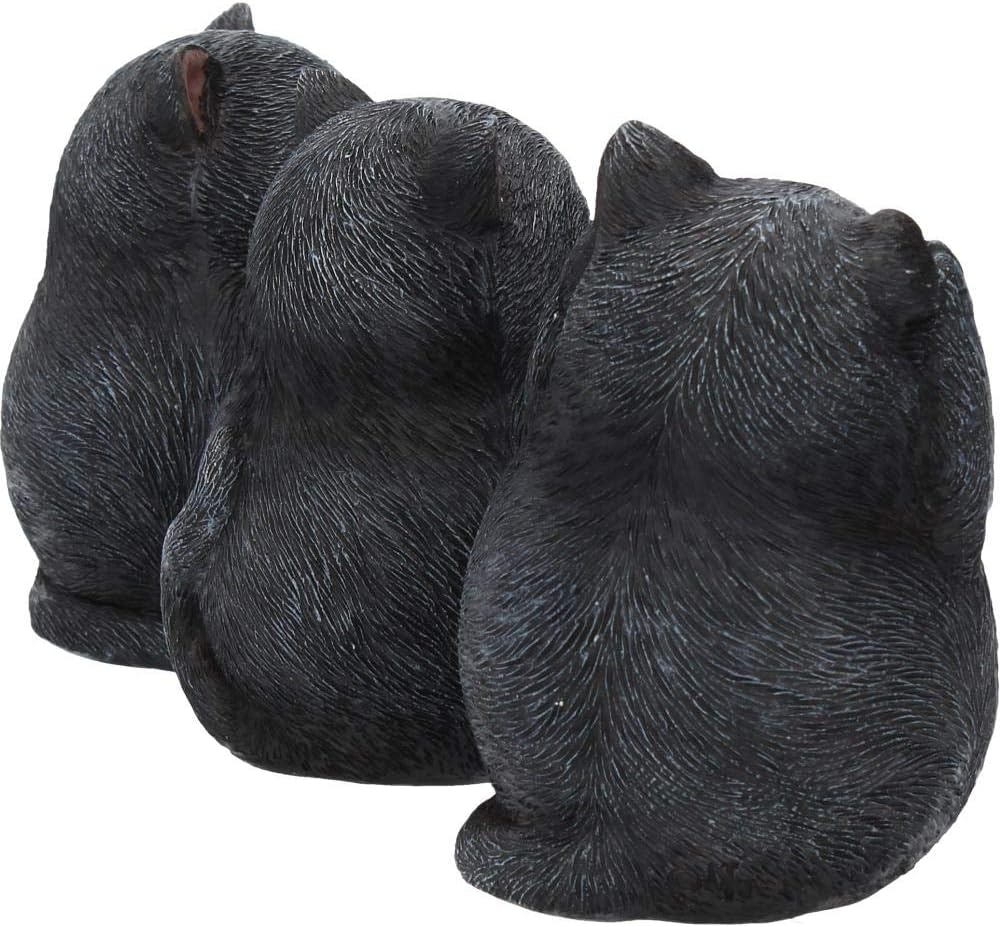 Nemesis Now Three Wise Fat Cats - Figura Decorativa (Resina, 8,5 cm), Color Negro