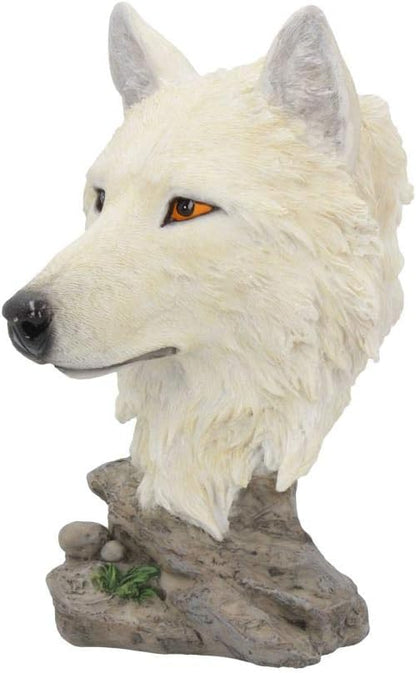 Nemesis Now U4199M8 Snow Searcher Figurine 19cm White