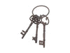 Nemesis Now D4269M8 Keys to The Chambers 14.5cm Figurine, Brown