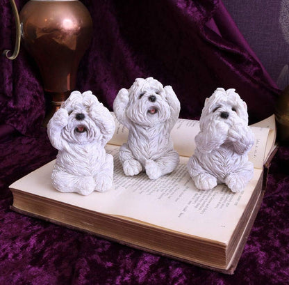 Nemesis Now Three Wise Westies Figurines, White, 8cm, U4461N9