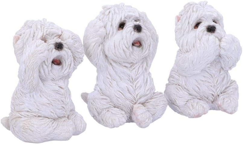 Nemesis Now Three Wise Westies Figurines, White, 8cm, U4461N9