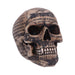 Nemesis Now B4478N9 Draculas Tale 18.5cm, Taupe, One Size